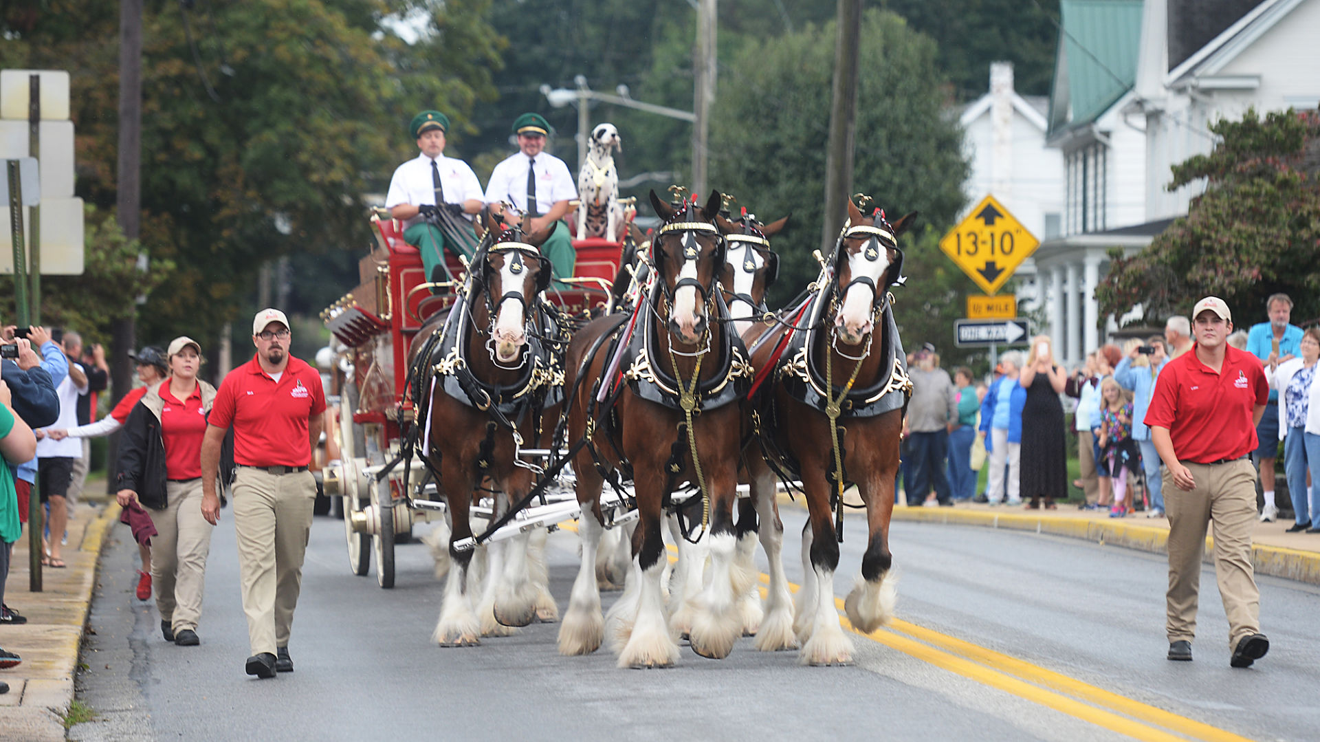 Budweiser Clydesdales Visit Shippensburg